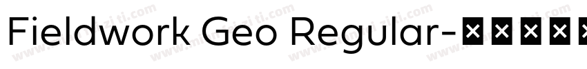 Fieldwork Geo Regular字体转换
